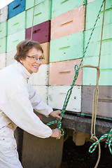 Image showing Beekeeper Tying Rope To Crates Loaded On Truck