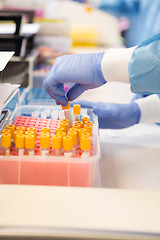 Image showing Researcher With Testtubes Working In Laboratory