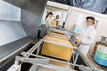 Image showing Portrait Of Beekeeper Working On Honey Extraction Plant