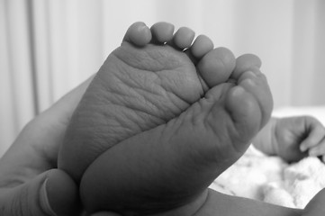 Image showing holding newborn baby's feet