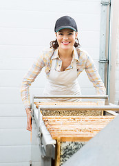 Image showing Beekeeper Working with Extractor