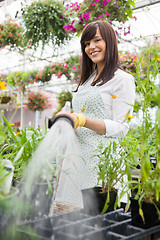 Image showing Smiling Florist Watering Plants In Greenhouse