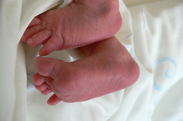 Image showing newborn baby feet