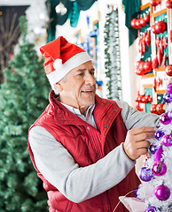 Image showing Owner Decorating Christmas Tree At Store