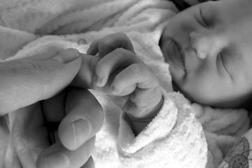 Image showing newborn girl holding on to her daddy's finger while sleeping