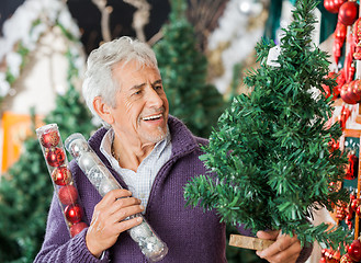 Image showing Man Holding Christmas Tree And Ornaments