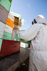 Image showing Beekeepers Unloading Honeycomb Crates