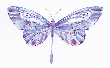 Image showing purple fantasy butterfly