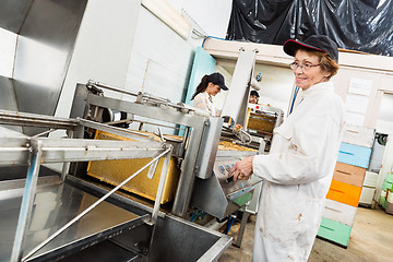 Image showing Female Beekeeper Working On Honey Extraction Plant