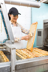 Image showing Beekeeper Brushing Honeycomb At Extraction Plant