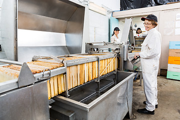 Image showing Beekeeper Working On Honey Extraction Plant In Factory