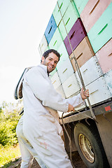 Image showing Beekeeper Tying Rope Stacked Honeycomb Crates On Truck