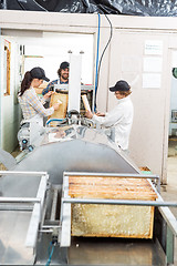 Image showing Beekeepers Extracting Honey From Machine In Factory