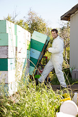 Image showing Beekeeper Smiling While Loading Stacked Honeycomb Crates In Truc