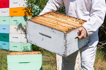 Image showing Midsection Of Beekeeper Carrying Honeycomb Box