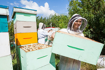 Image showing Beekeeper Working With Colleague At Apiary