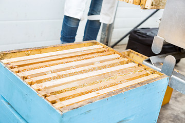 Image showing Closeup Of Honeycomb Frames In Apiary