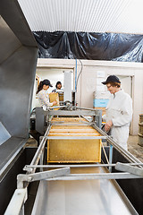 Image showing Female Beekeeper Working On Honey Extraction Plant