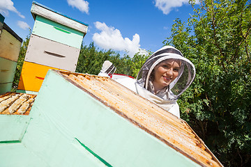 Image showing Female Beekeeper Working With Colleague At Apiary