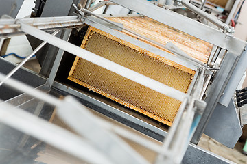 Image showing Honeycomb Frames In Extraction Plant
