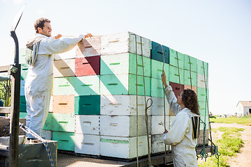 Image showing Beekeepers Loading Honeycomb Crates In Truck