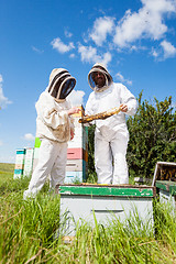 Image showing Beekeepers Working At Apiary