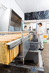 Image showing Beekeepers Working On Honey Extraction Plant