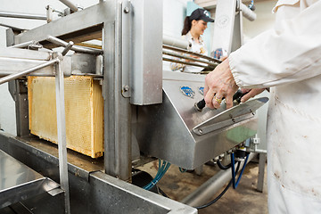 Image showing Beekeeper Operating Honey Extraction Plant