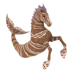 Image showing Hippocampus Mermaid's Horse