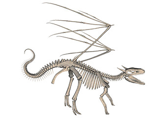 Image showing Dragon Skeleton