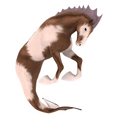 Image showing Hippocampus Mermaid's Horse