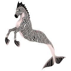 Image showing Hippocampus Mermaid's Horse