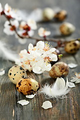 Image showing Flowering branch and quail egg.