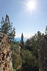 Image showing View of the cliffs and the sea on a sunny day.