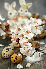 Image showing Flowering branch, feather, and quail eggs.