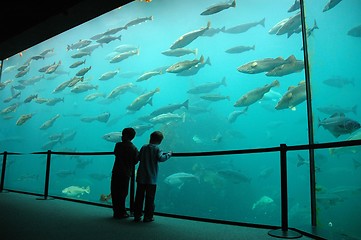 Image showing Aquarium