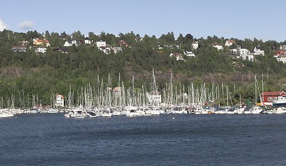 Image showing Paddehavet