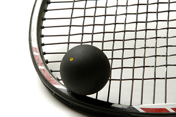 Image showing squash