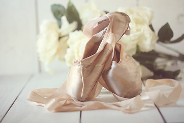 Image showing Posed Pointe Shoes in Natural Light 