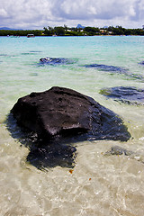 Image showing indian ocean some stone in the island  