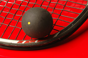 Image showing squash