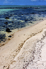 Image showing foam footstep indian ocean  