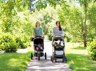 Image showing Mothers With Baby Strollers Walking In Park