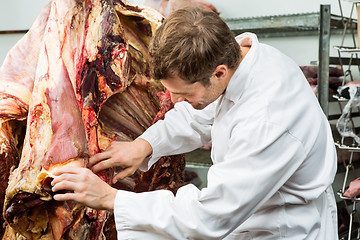 Image showing Butcher Checking Side of Beef