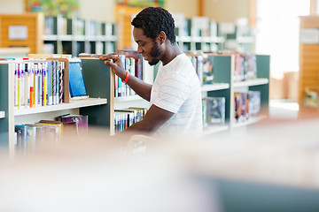 Image showing Male Librarian Arranging Books In Bookstore