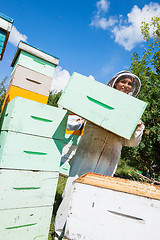 Image showing Beekeeper Carrying Honeycomb Crate