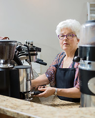 Image showing Senior Barista