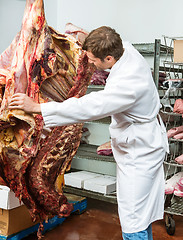 Image showing Butcher grading side of beef