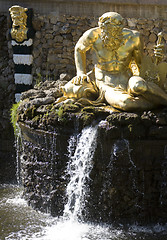 Image showing Fountain in Petrodvorets (Peterhof), St Petersburg, Russia.