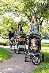 Image showing Mothers Pushing Baby Strollers In Park